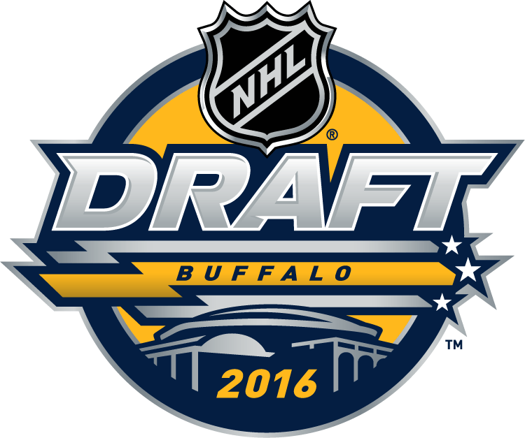 NHL Draft 2016 Primary Logo t shirts iron on transfers